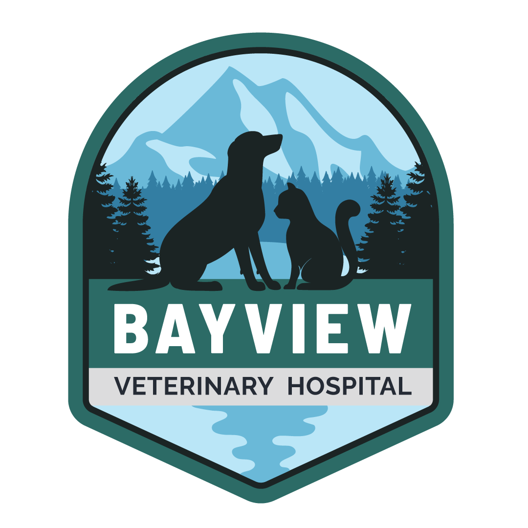 935510_BayviewVeterinaryHospitalLogo_011921.png