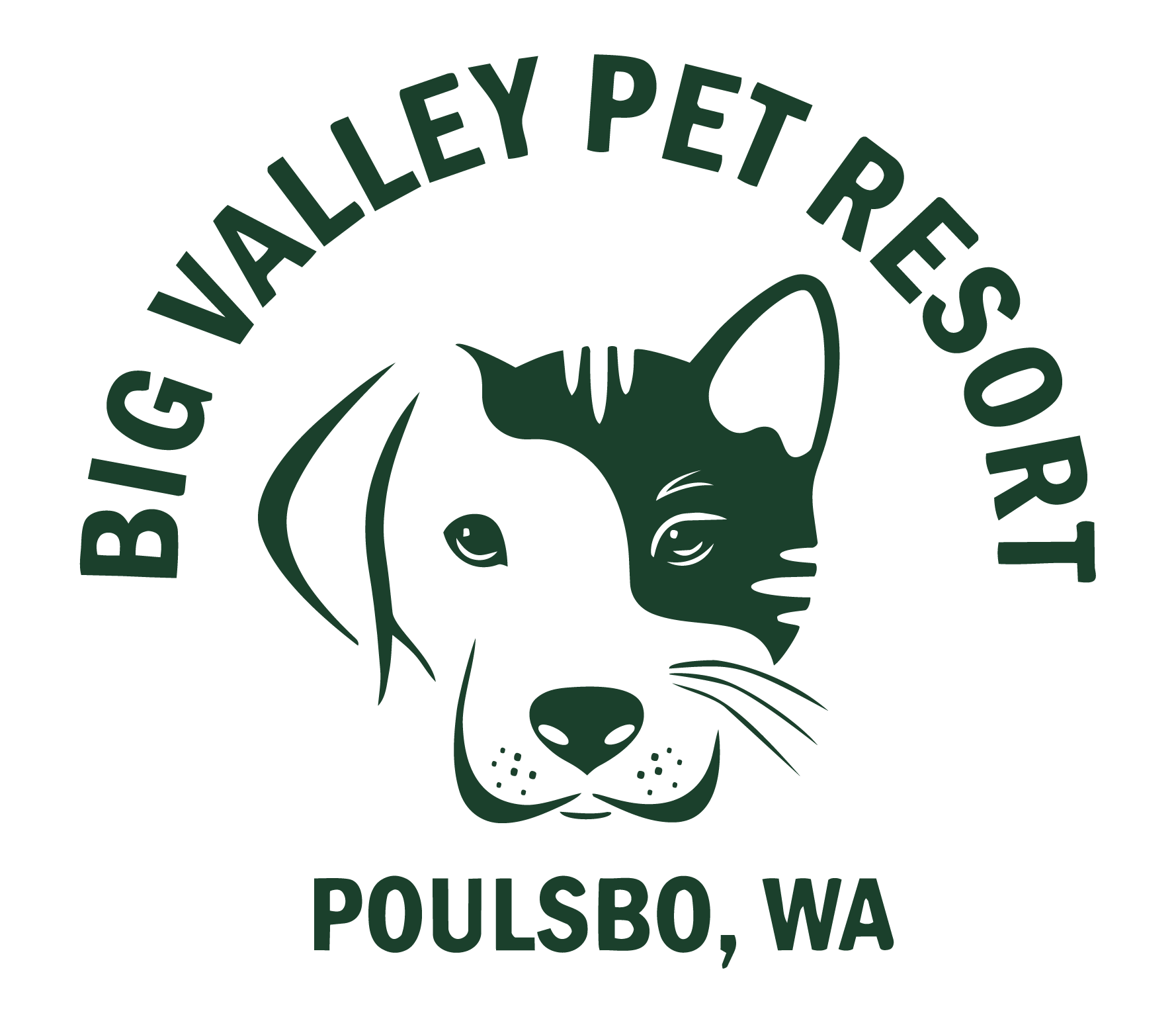 Big Valley Pet Resort-Green.png