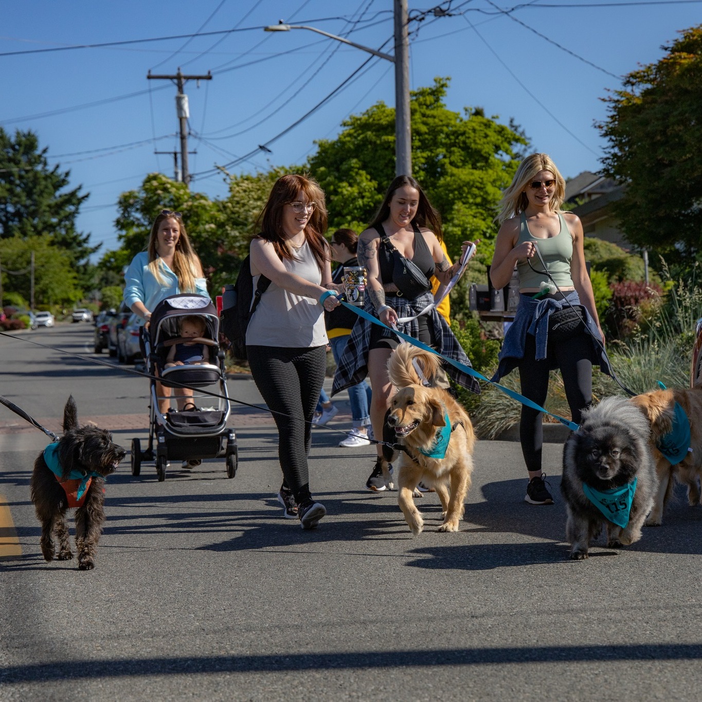 PW - Walkers with Dogs.jpg